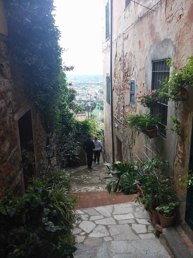Residenza Buggiano Antica B&B - Charme Apartment In Tuscany Borgo a Buggiano Eksteriør billede