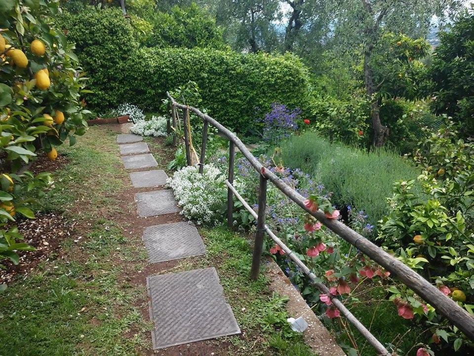 Residenza Buggiano Antica B&B - Charme Apartment In Tuscany Borgo a Buggiano Eksteriør billede